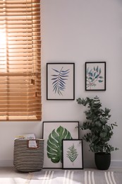Photo of Stylish room interior with green eucalyptus tree and floral paintings