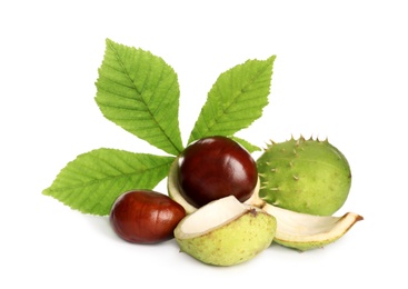 Photo of Horse chestnuts and tree leaf on white background