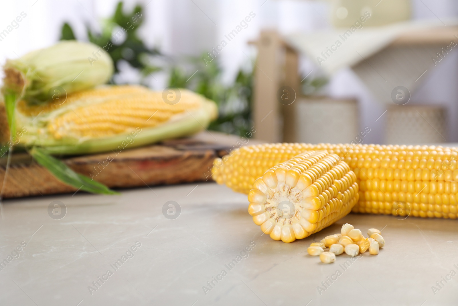 Photo of Tasty sweet corn cobs on table, closeup