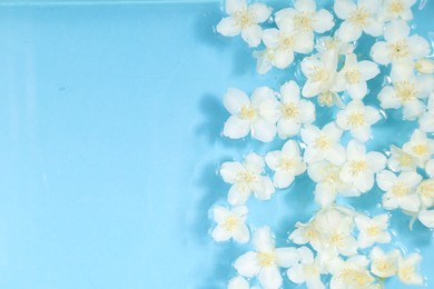 Photo of Beautiful jasmine flowers in water on light blue background, top view. Space for text