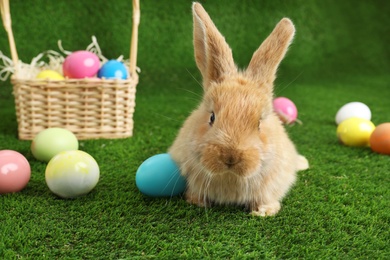Adorable furry Easter bunny near wicker basket and dyed eggs on green grass, space for text