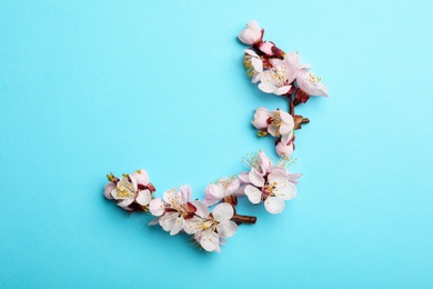 Photo of Beautiful blossoming branches with fresh spring flowers on color background, top view