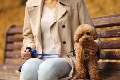 Photo of Woman with cute Maltipoo dog on wooden bench in autumn park, closeup.