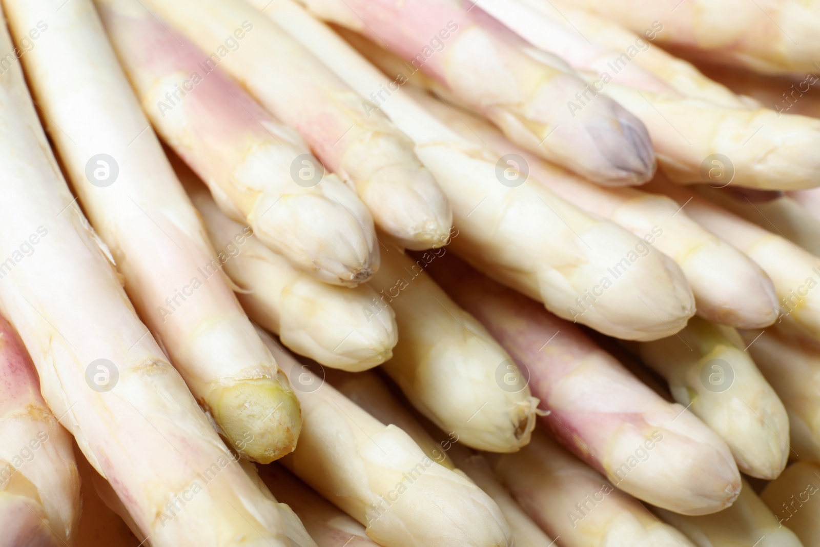 Photo of Fresh ripe white asparagus as background, closeup