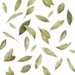 Dry bay leaves falling on white background