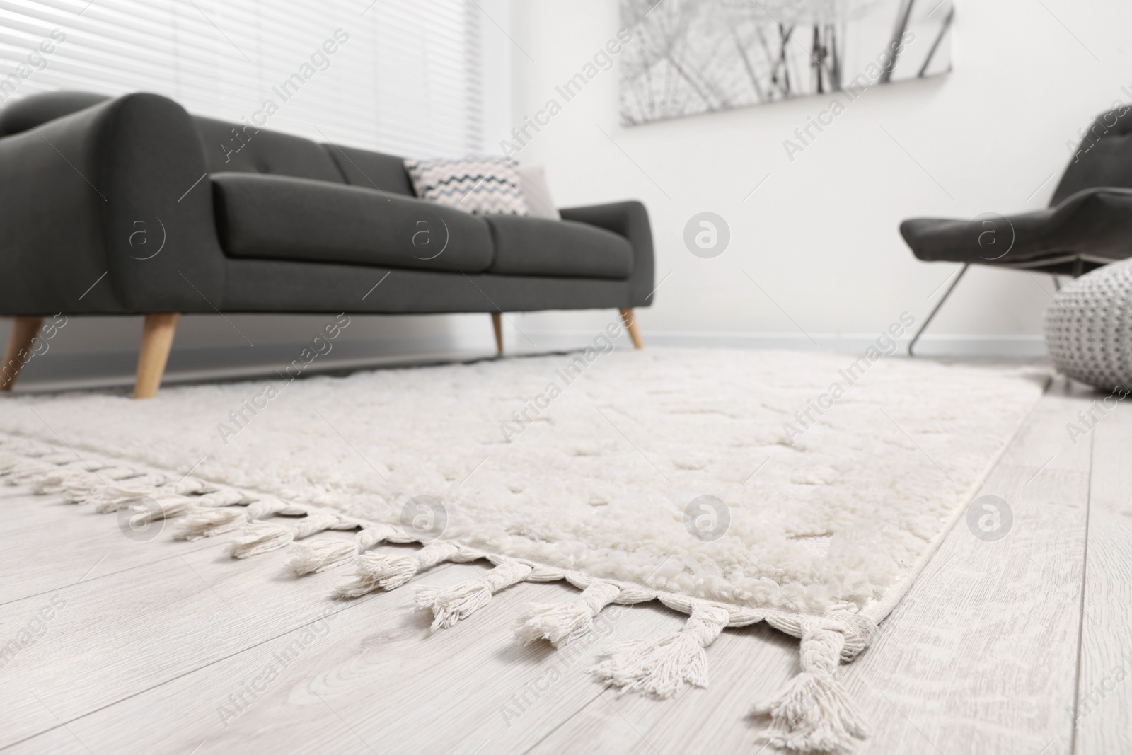 Photo of Soft carpet and stylish sofa in living room, low angle view. Modern interior