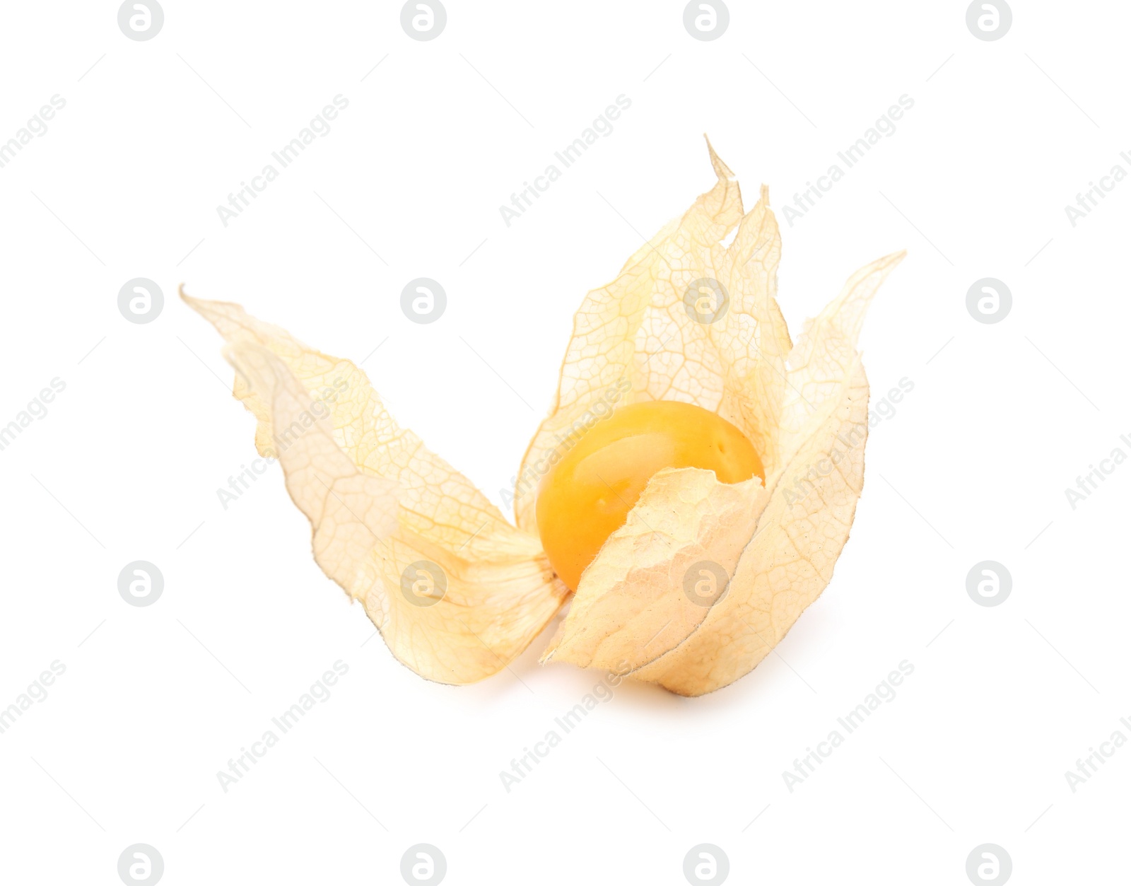 Photo of Ripe physalis fruit with calyx isolated on white