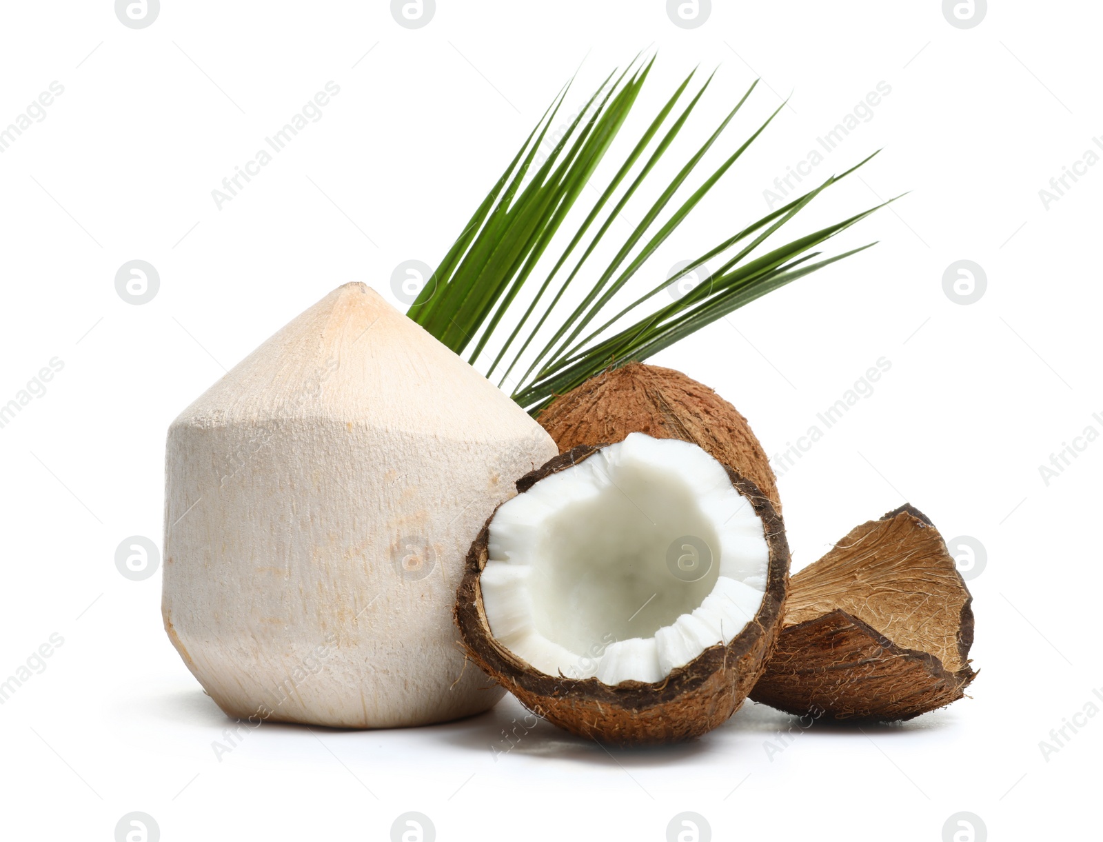 Photo of Fresh ripe coconuts with leaves on white background