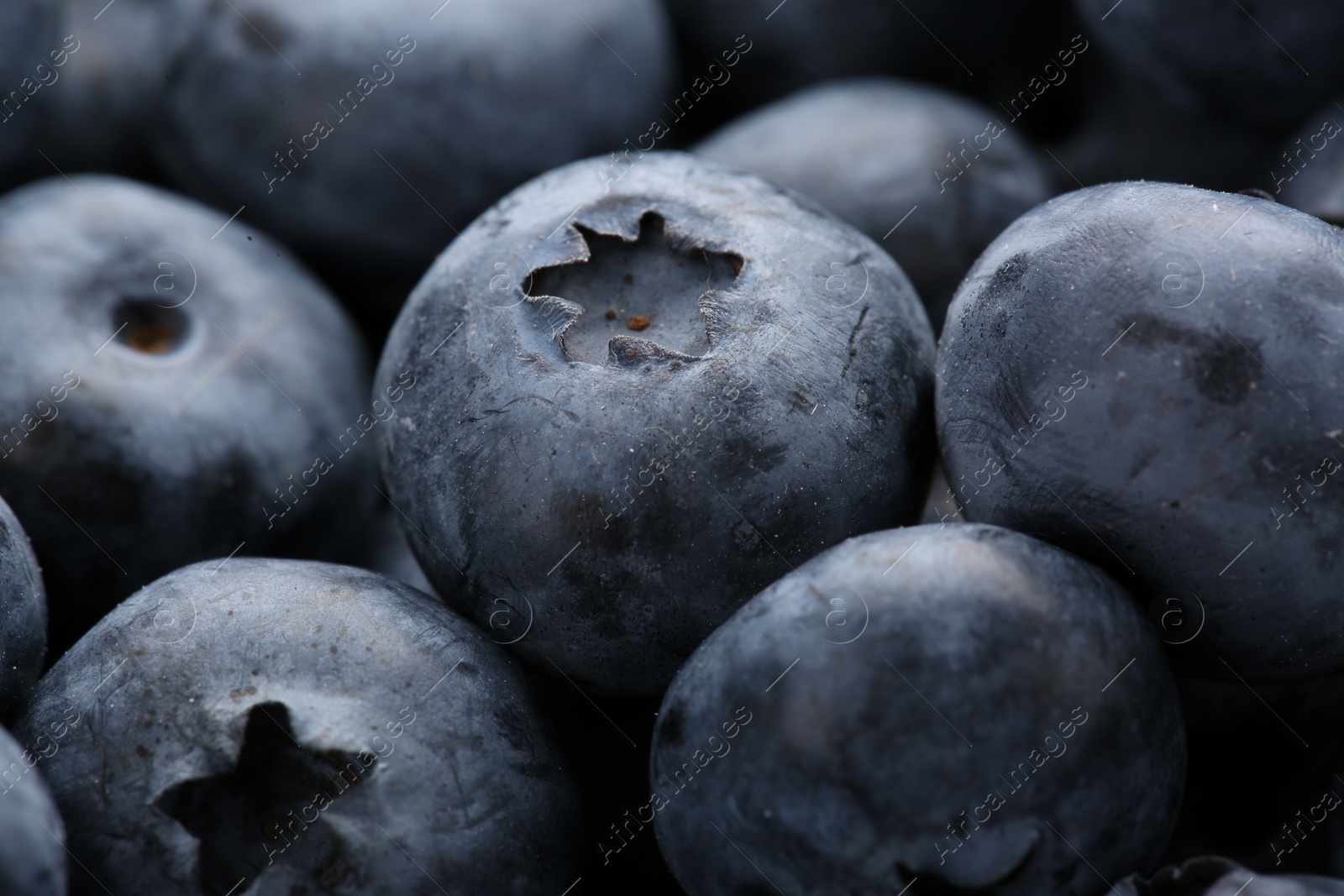 Photo of Tasty fresh ripe blueberries as background, closeup