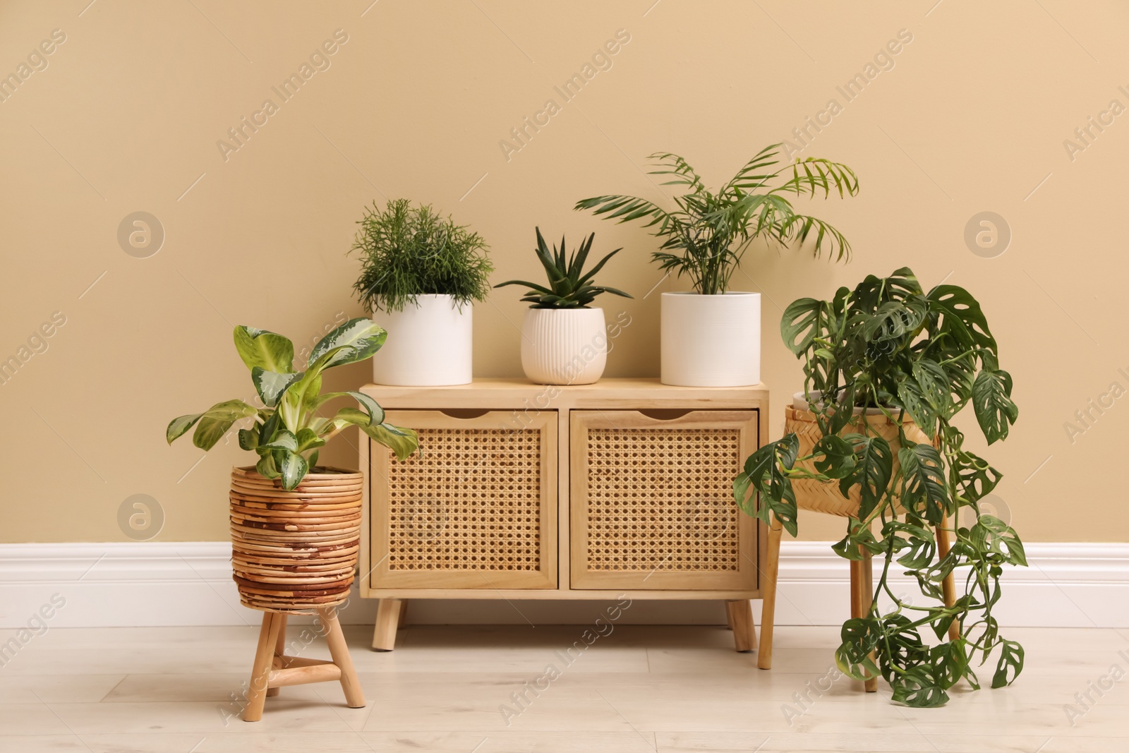 Photo of Different beautiful houseplants near beige wall indoors. Interior design