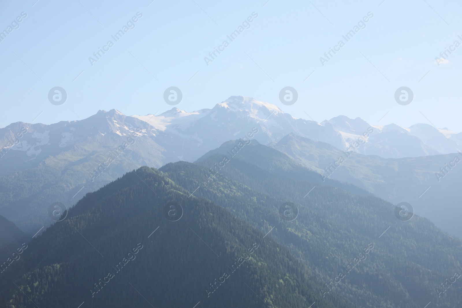 Photo of Aerial view of beautiful landscape with mountain forest on sunny day