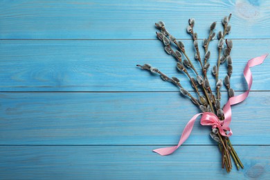 Photo of Beautiful bouquet of pussy willow branches on light blue wooden background, top view. Space for text