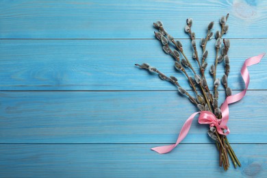 Beautiful bouquet of pussy willow branches on light blue wooden background, top view. Space for text