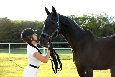 Young woman in horse riding suit and her beautiful pet outdoors on sunny day