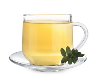 Cup of green tea with eucalyptus leaves on white background