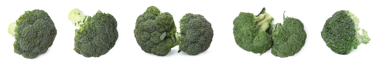 Set with fresh green broccoli on white background. Banner design