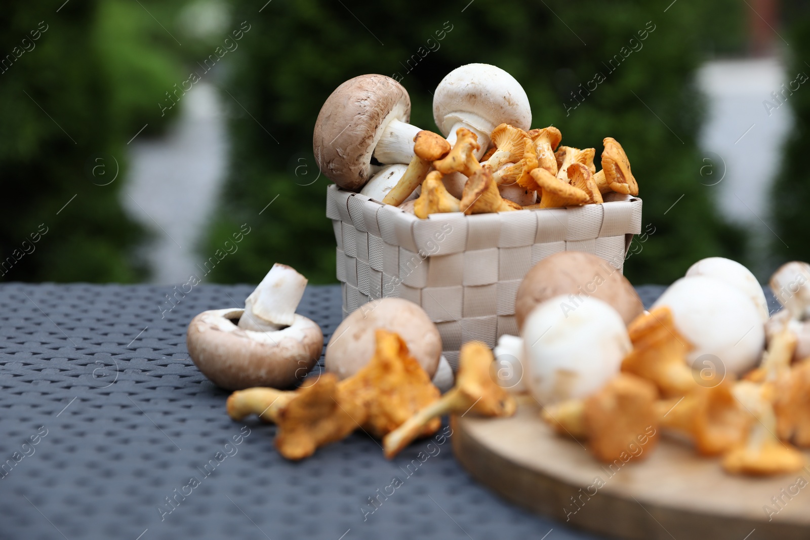 Photo of Different fresh mushrooms, board and basket on grey rattan table outdoors, space for text