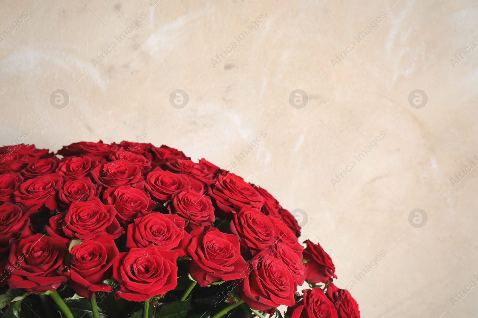 Photo of Luxury bouquet of fresh red roses on light background, space for text