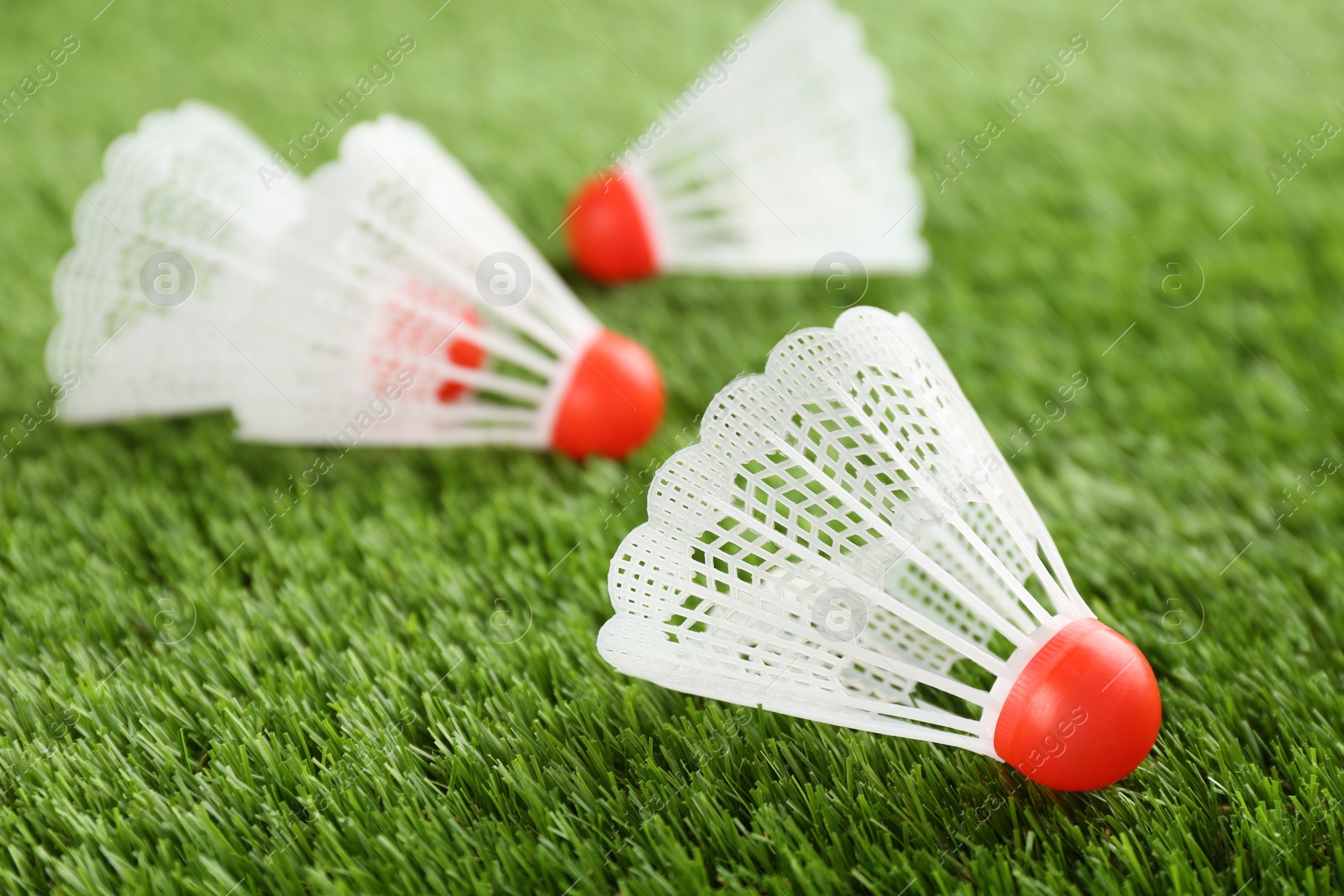 Photo of Badminton shuttlecocks on green grass outdoors, closeup. Space for text