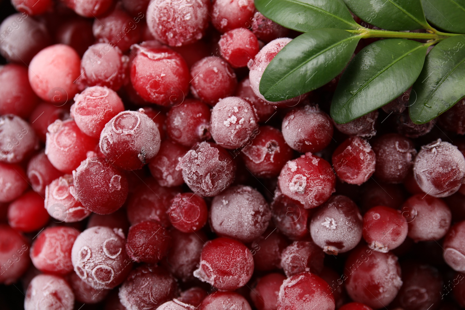 Photo of Frozen red cranberries and green leaves as background, top view