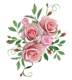 Illustration of Beautiful roses with green leaves illustration on white background. Stylish design