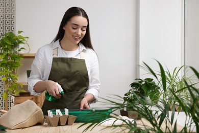 Young woman spraying water onto vegetable seeds in pots at wooden table indoors