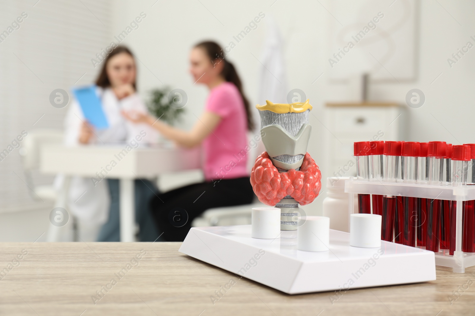 Photo of Endocrinologist examining patient at clinic, focus on model of thyroid gland and blood samples in test tubes