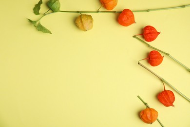 Physalis branches with colorful sepals on yellow background, flat lay. Space for text