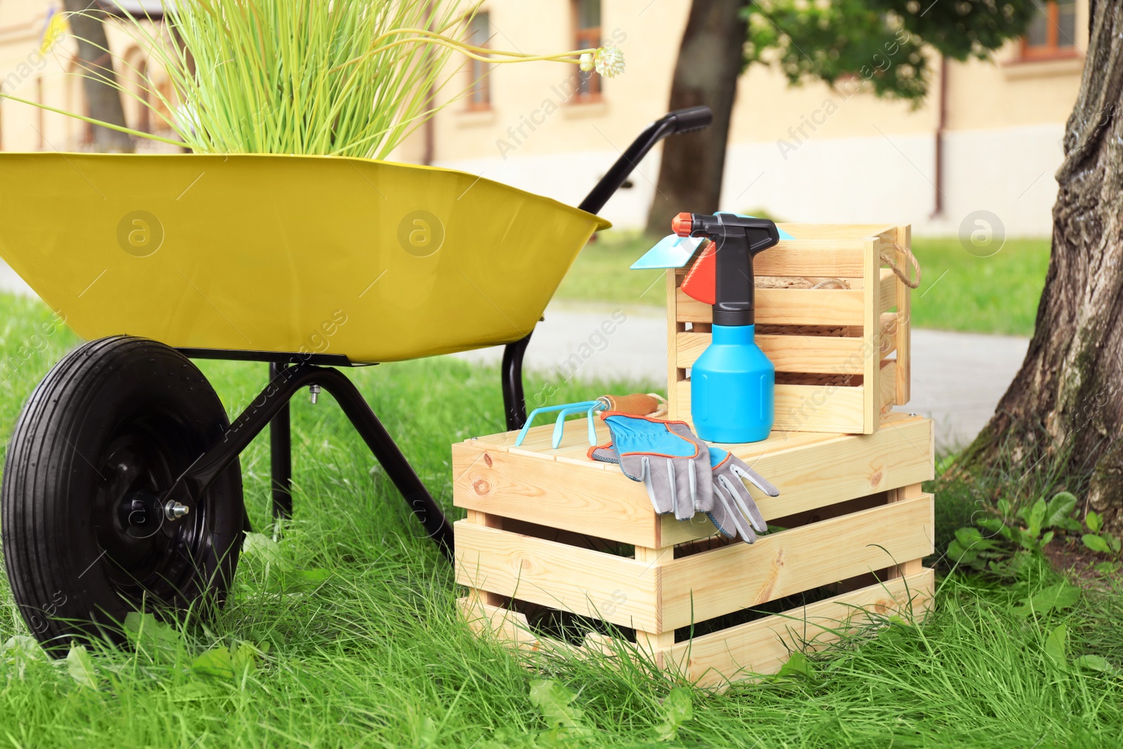 Photo of Composition with gardening tools on green grass