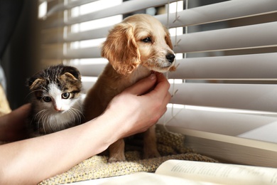 Owner with adorable little kitten and puppy near window indoors, closeup