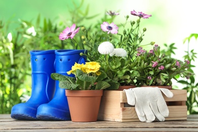 Photo of Potted blooming flowers and gumboots on wooden table. Home gardening