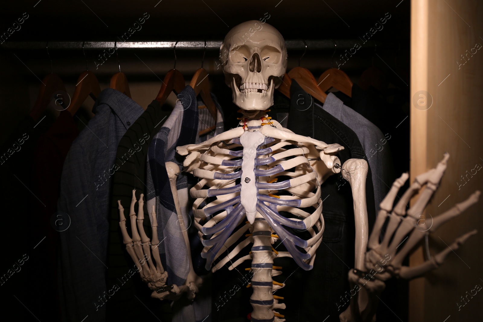 Photo of Artificial human skeleton model among clothes in wardrobe