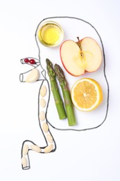 Photo of Flat lay composition with kidney drawing and different products on white background