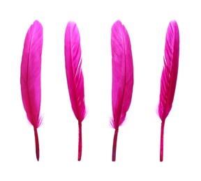 Image of Beautiful bright pink feathers isolated on white, set