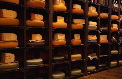 Different types of delicious cheeses and alcohol drinks on rack in store