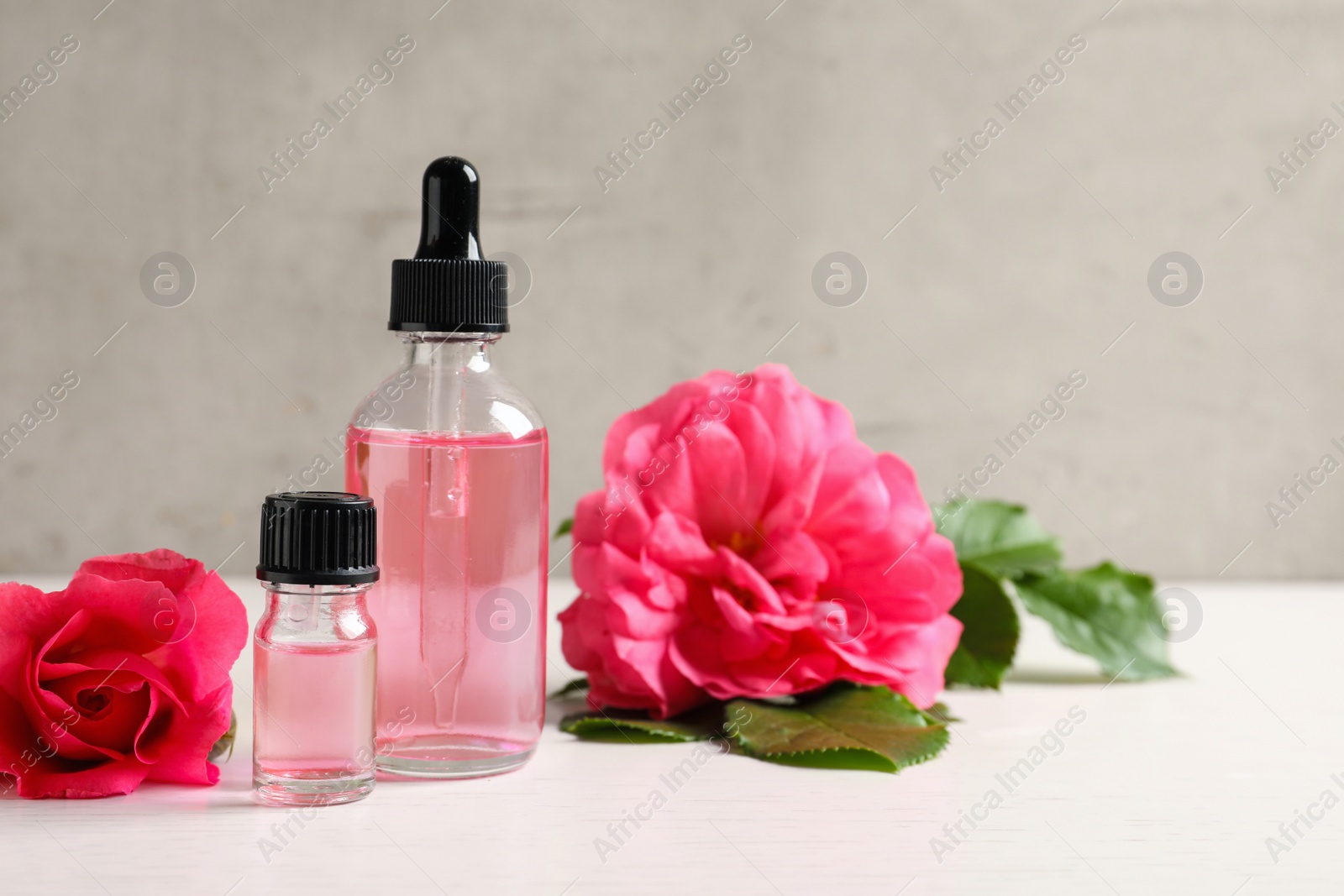 Photo of Fresh flowers and bottles of rose essential oil on table, space for text