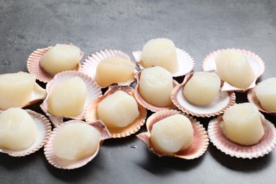 Photo of Many fresh raw scallops in shells on grey table