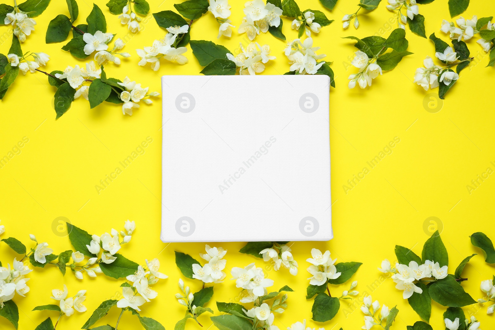 Photo of Blank canvas and beautiful jasmine flowers on yellow background, flat lay. Space for design