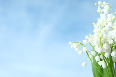 Photo of Beautiful lily of the valley flowers against blue sky, closeup. Space for text