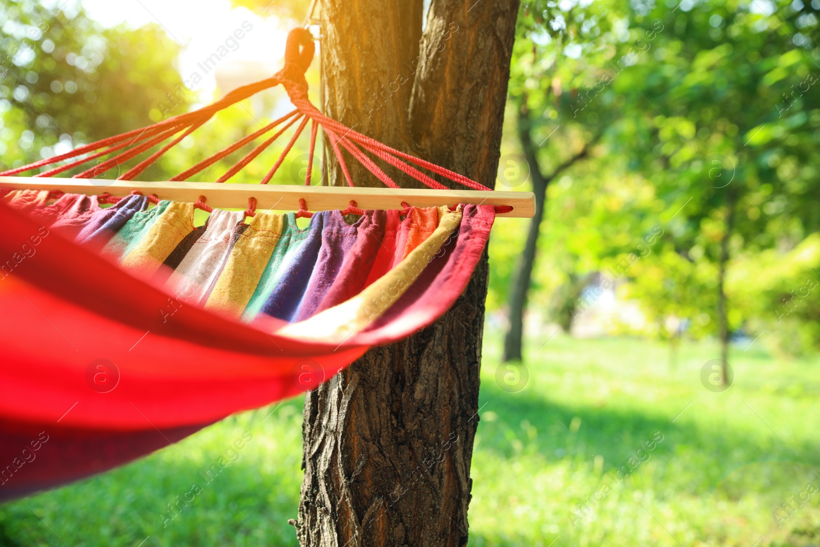 Photo of Bright comfortable hammock hanging in green garden, closeup