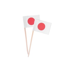 Photo of Small paper flags of Japan on white background