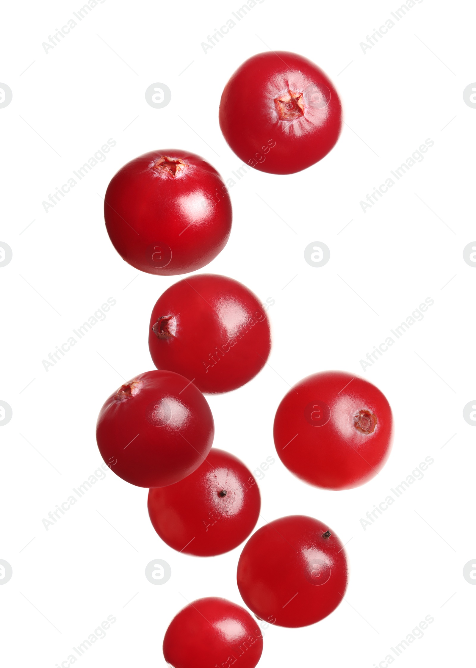 Image of Fresh red cranberries falling on white background