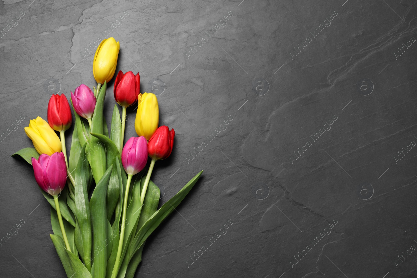 Photo of Beautiful colorful tulip flowers on black table, flat lay. Space for text