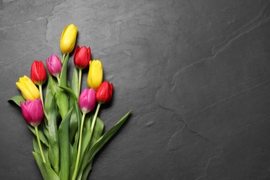 Beautiful colorful tulip flowers on black table, flat lay. Space for text