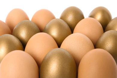 Photo of Golden eggs among others on white background