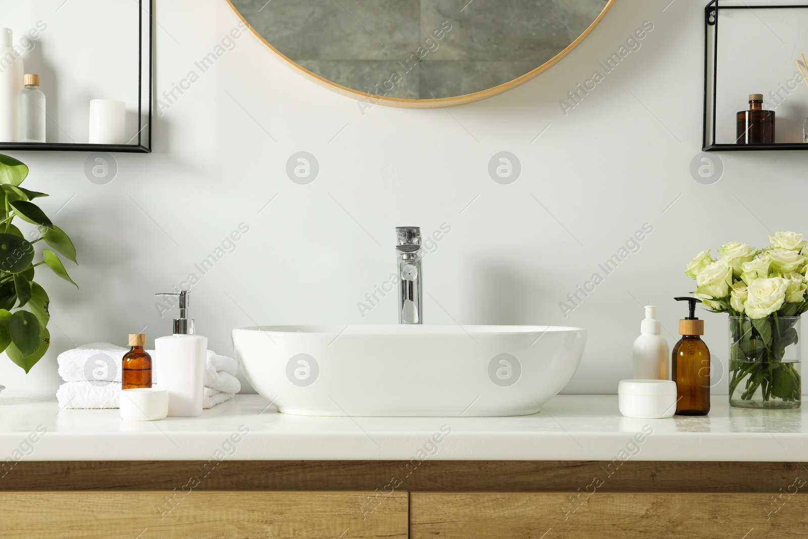 Photo of Beautiful roses, houseplant and bath accessories near sink in bathroom