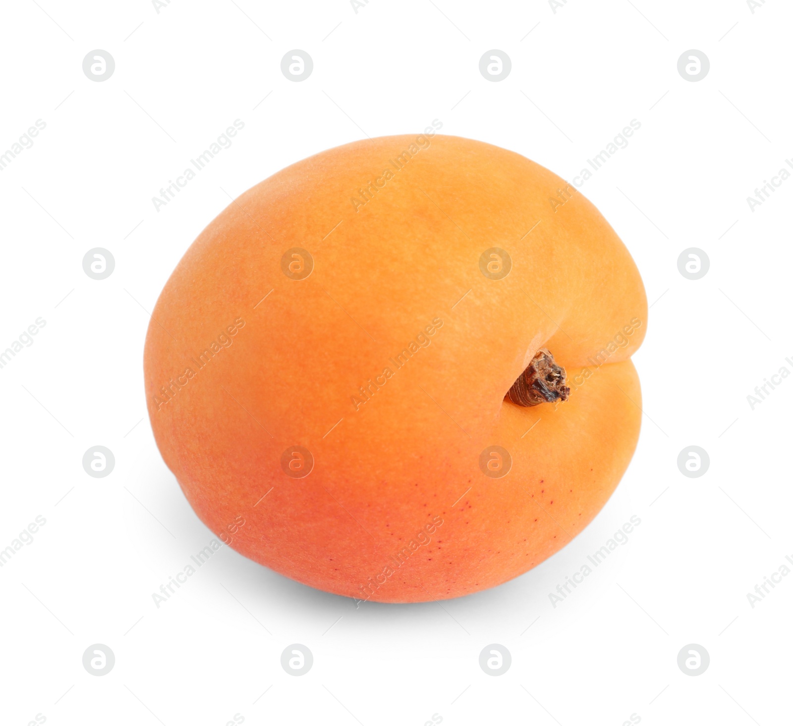 Photo of Delicious ripe sweet apricot isolated on white