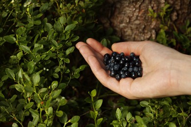 Photo of Woman holding bilberries outdoors, closeup. Seasonal berries