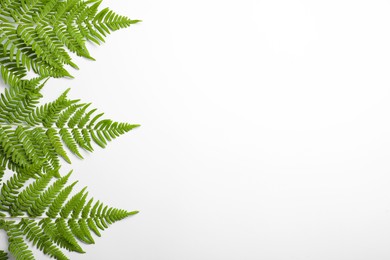 Photo of Beautiful tropical fern leaves on white background, top view