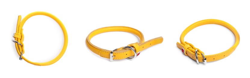 Image of Set with yellow leather dog collars on white background. Banner design